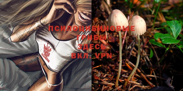дурь Белокуриха