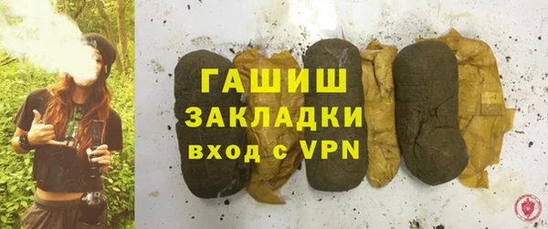 гидра Снежногорск