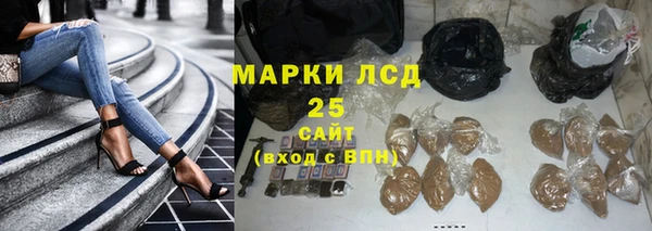 сатива Белоозёрский
