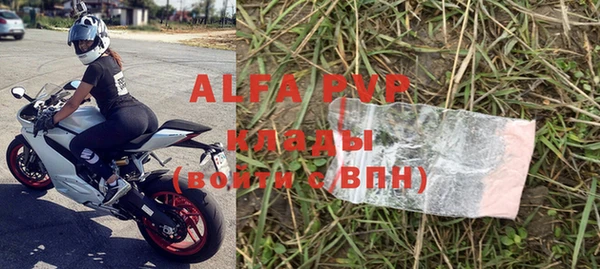 сатива Белоозёрский
