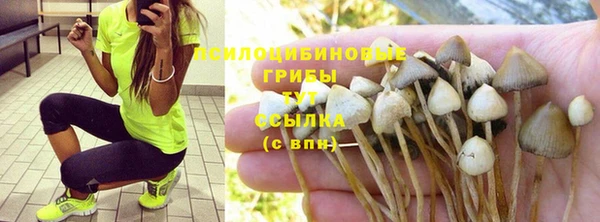 сатива Белоозёрский