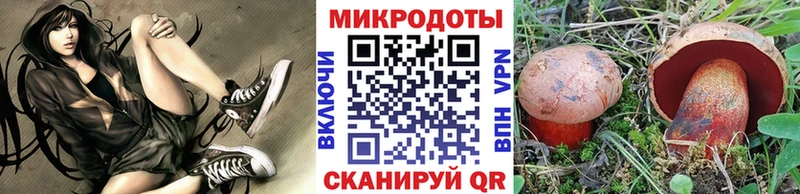 OMG сайт  купить закладку  Окуловка  Псилоцибиновые грибы MAGIC MUSHROOMS 
